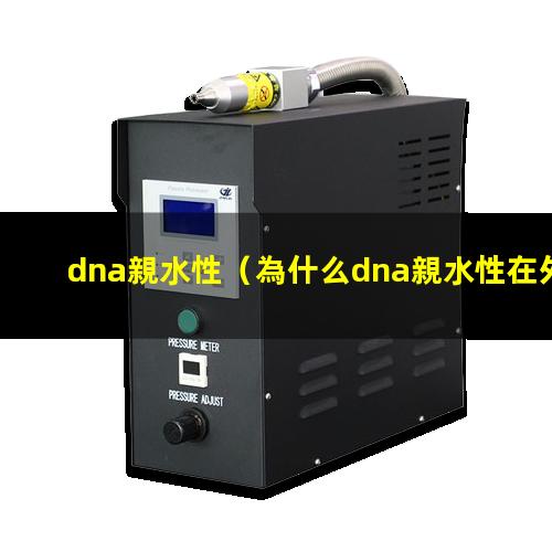 dna親水性